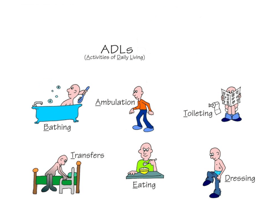Drawing answering the question "What are the ADL's?"