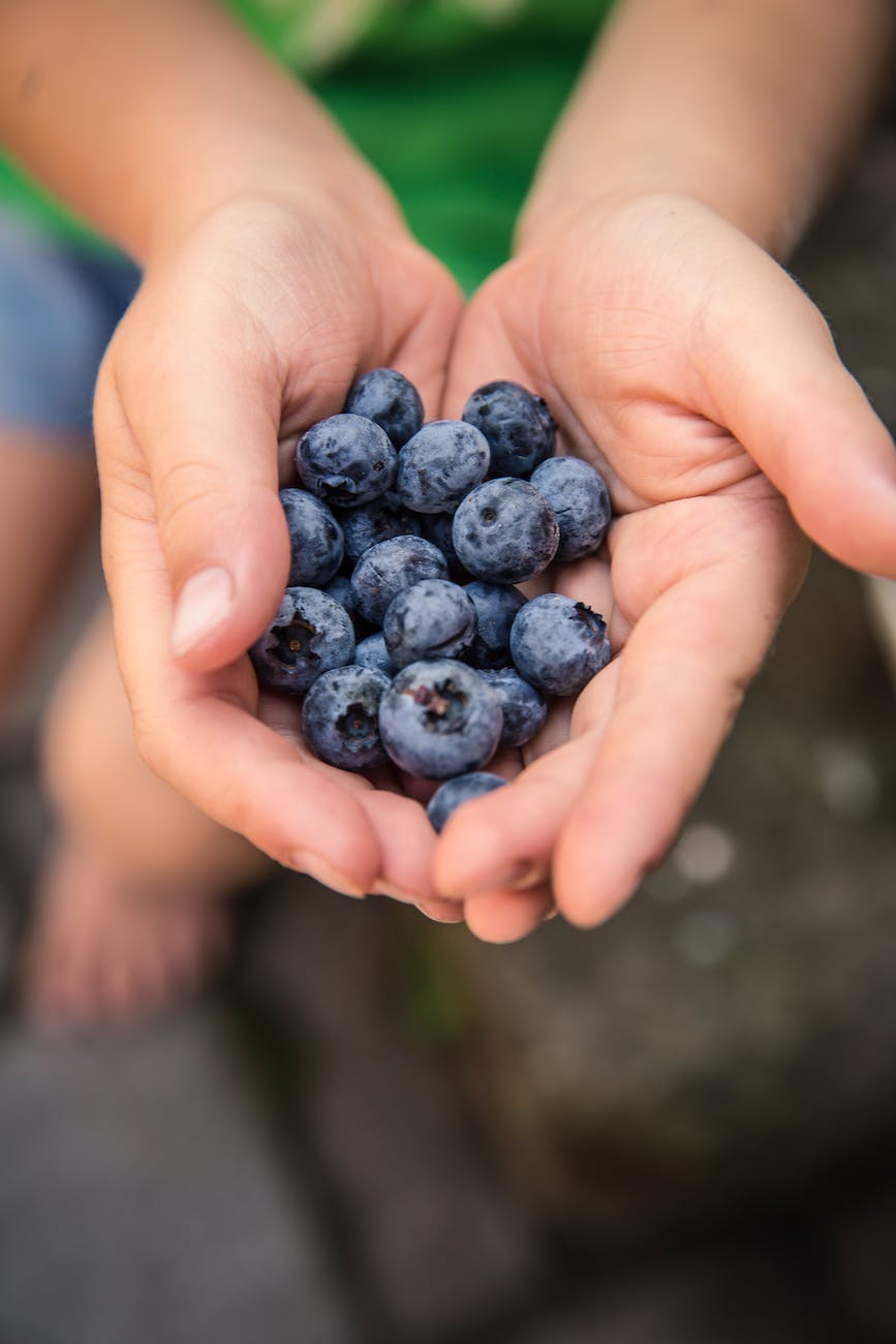 food hands fruits blueberries